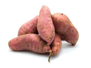 Fresh Eggplant From Egypt Farm Related products includes Brinjal,