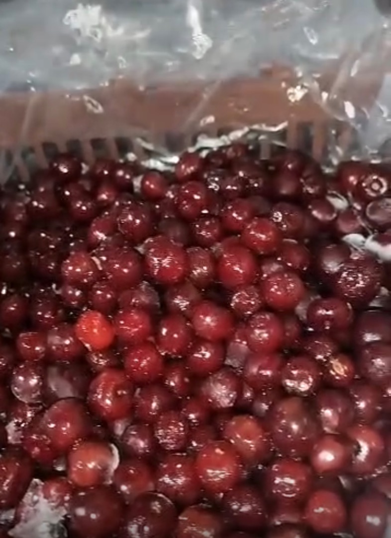 Unpitted frozen sour cherries MOQ: 1FTL ( 22 Ton) Amarene surgelate con il nocciolo Consegnato al vs magazzino in Italia 3 Euro/Kg