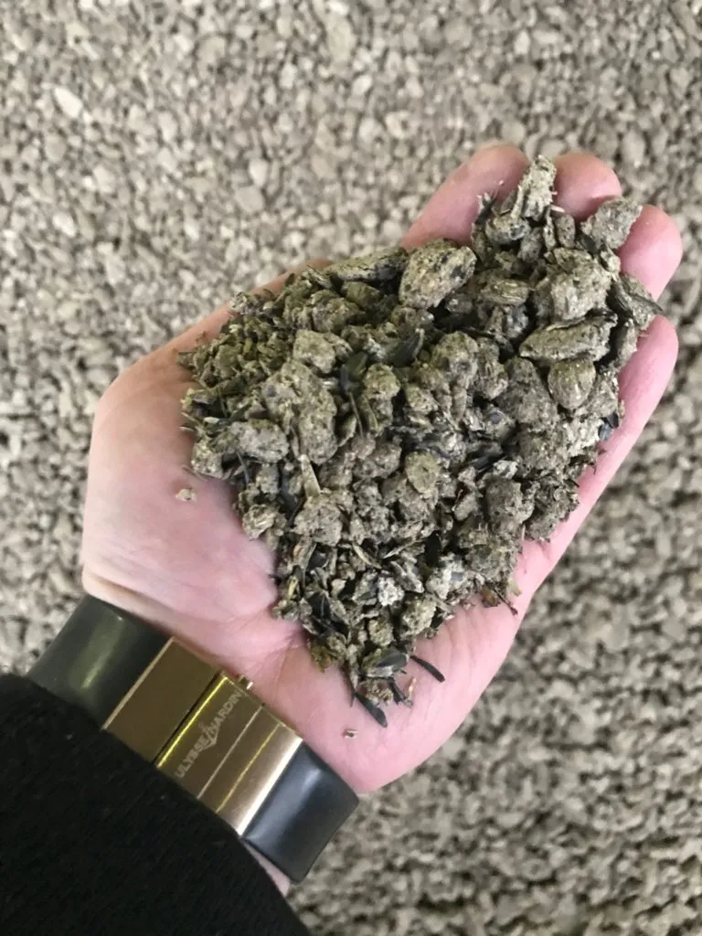 We sell sunflower seed meal
