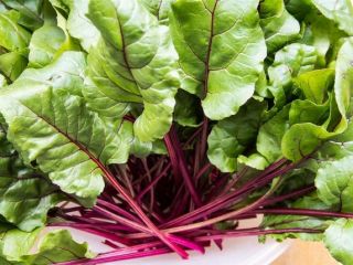 We buy beetroot leaves in bulk. They can be