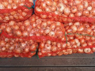 I sell studgarter onions packed in 25 kg bags