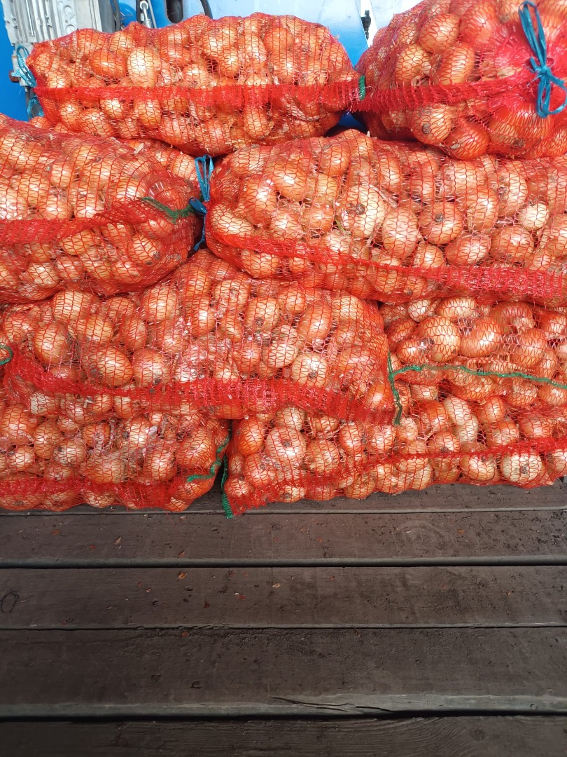 I sell studgarter onions packed in 25 kg bags for sale in the village of Hatuica no
