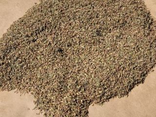Hello. I am selling dried inflorescences (flower heads) after