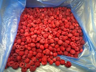 Raspberries quick-frozen (extra)