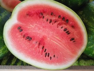 FOR SALE! Polish watermelon, very sweet. Price negotiable. Please