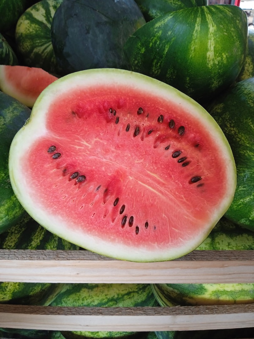 FOR SALE! Polish watermelon, very sweet