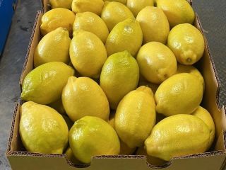 Eureka lemons packed and ready for delivery