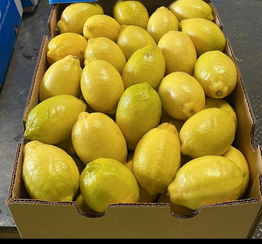 Eureka lemons packed and ready for delivery