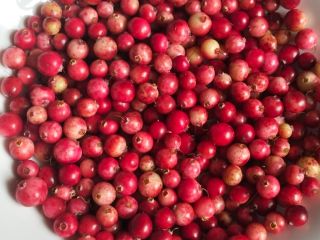 I'm selling fresh bog cranberries, picked to order from