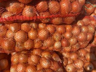 The manufacturer sells onions from the 2025 harvest on