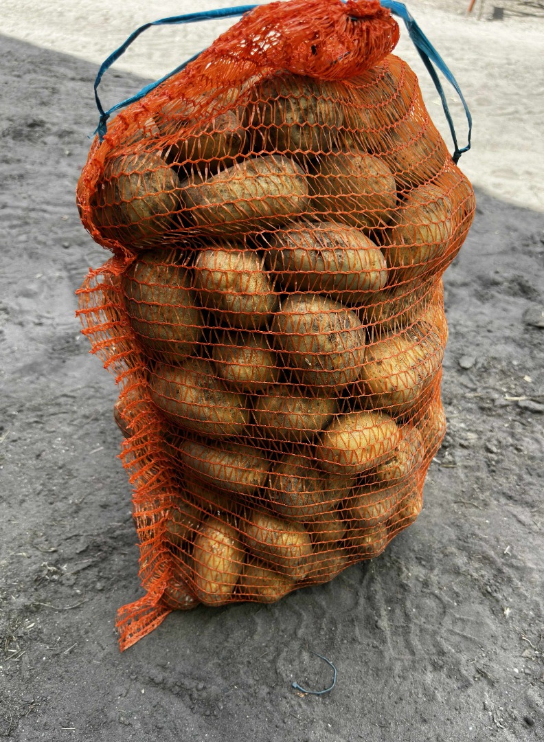 Hello, I am selling edible potatoes, denar variety, price PLN 1.20 per kg