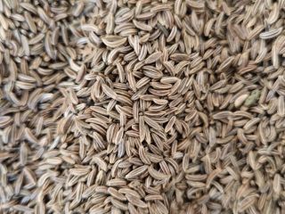 Origin and Experience: I am an experienced farmer from