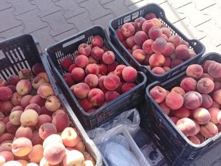 Fresh, sweet, juicy peaches straight from the orchard –