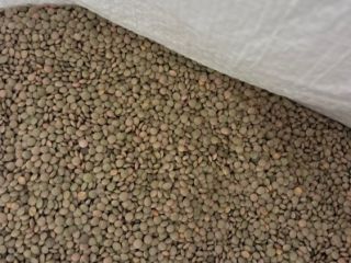 Up to 23,000 kg of small lentils are being