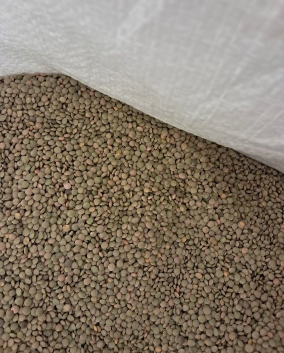 Up to 23,000 kg of small lentils are being sold at €1.20 per kilo
