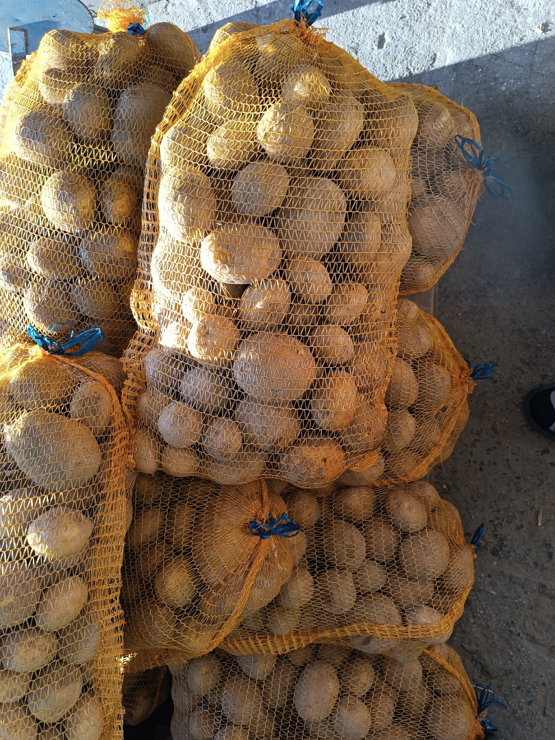 I will sell potatoes of the Vineta variety, very tasty, freshly dug, packed in 15 kg bags, large quantities