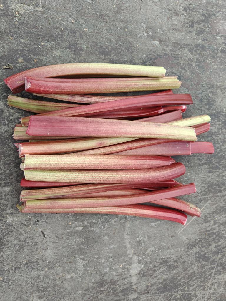 I have two varieties of freshly harvested rhubarb for sale: LEADER and RASPBERRY RHUBARB – straight from the field, free from chemicals and artificial