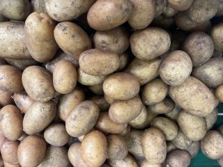 Selling : Onion , Carrotes, Parsnip , Potatoes 10kg
