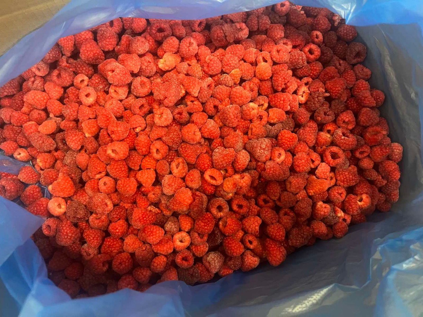 I will sell original raspberries, 80/20 and semolina
