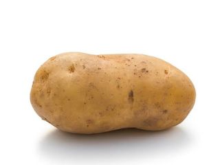 I have a beautiful, large, and delicious Innovator potato