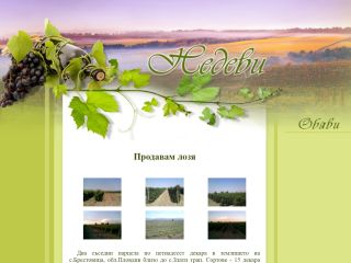 Muscat, Chardonnay - starting from 1.09.25 Merlot - starting