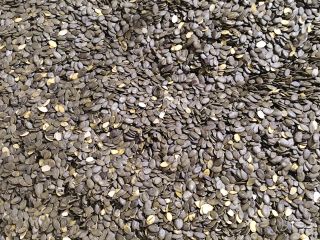 Hello. Our company produces pumpkin seeds, purity 99.95%. Percentage