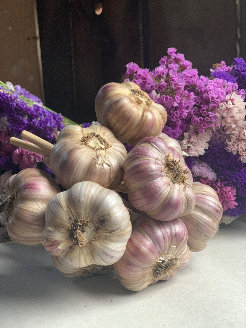 I will sell cleaned Harnaś garlic