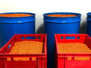We currently have 2 tons of frozen sea buckthorn,