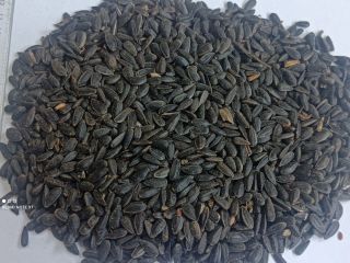 I'm looking to buy unhulled sunflower seeds. Preferably packaged