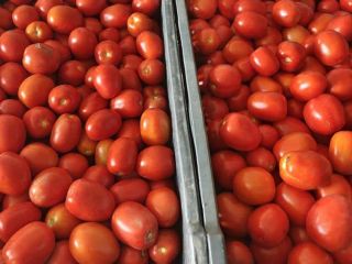 Lime field tomatoes for sale. Price negotiable, around 2.60.