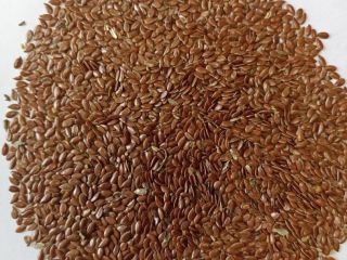 We offer export supplies of oilseeds Our group of