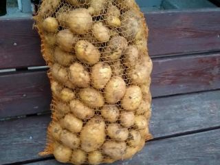 Hello. I am selling edible potatoes. For more information,