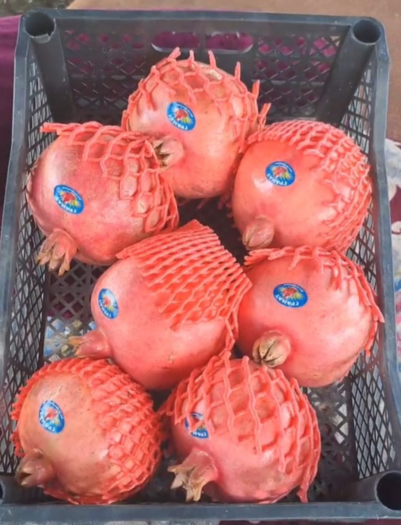 Fresh pomegranate export from Uzbekistan packing plastic box carton box with label your • IQF FRUITS AND VEGETABLES • Dried fruits and dried vegetables • Fresh
