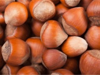 Premium Azerbaijani hazelnuts Our hazelnuts are grown in ecologically