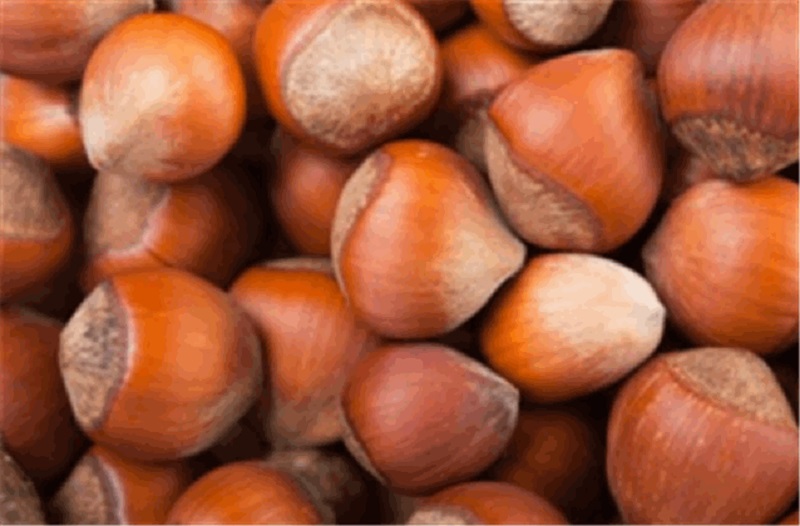 Premium Azerbaijani hazelnuts Our hazelnuts are grown in ecologically clean regions of Azerbaijan, where the favorable climate and fertile soil create ideal