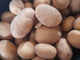 I am selling Typhoon potatoes with an integrated certificate,