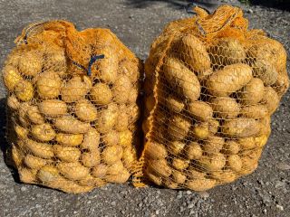 I will sell Soraya edible potatoes packed in big