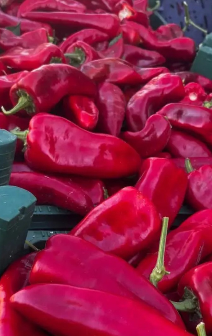Fresh fruits and vegetables directly from Turkish producers – the best prices! We offer a wide range of seasonal fruits and vegetables, carefully grown in the