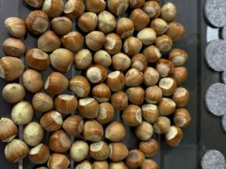 I'm selling hazelnuts of the Catalan, Barcelona, and Cosford