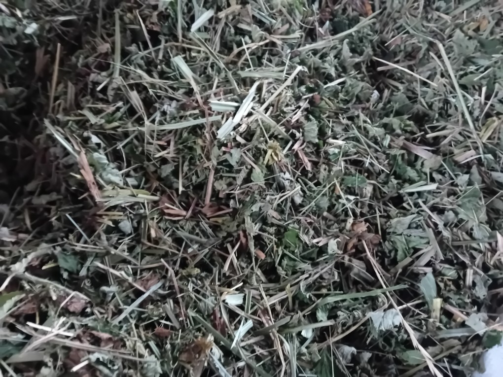 I will sell meadowsweet herb, cut about 1500 kg
