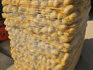 We sell potatoes in large quantities, in various varieties.