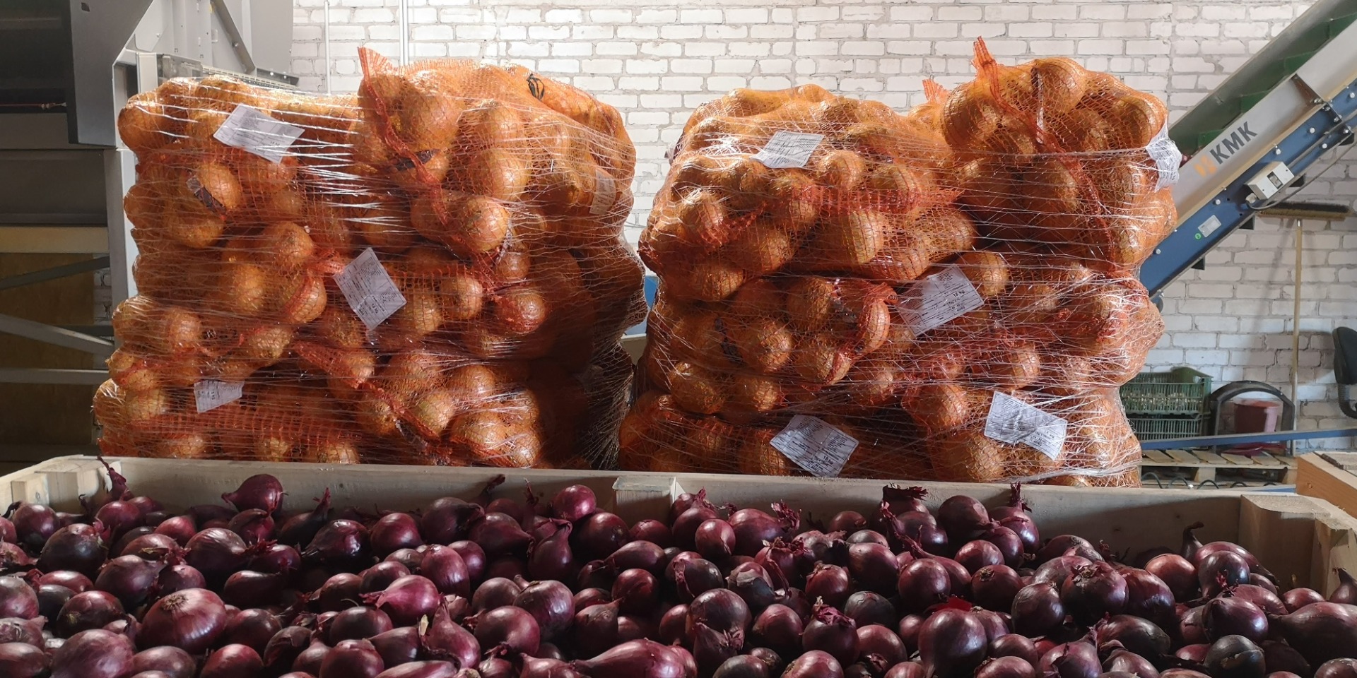 We offer a wide selection of onions: yellow, red, and shallots