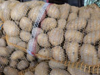 I am selling edible potatoes