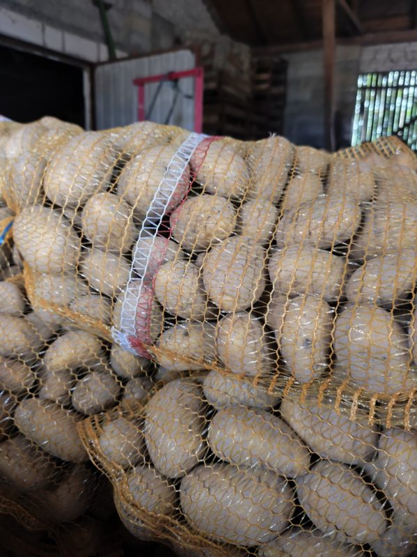 I am selling edible potatoes