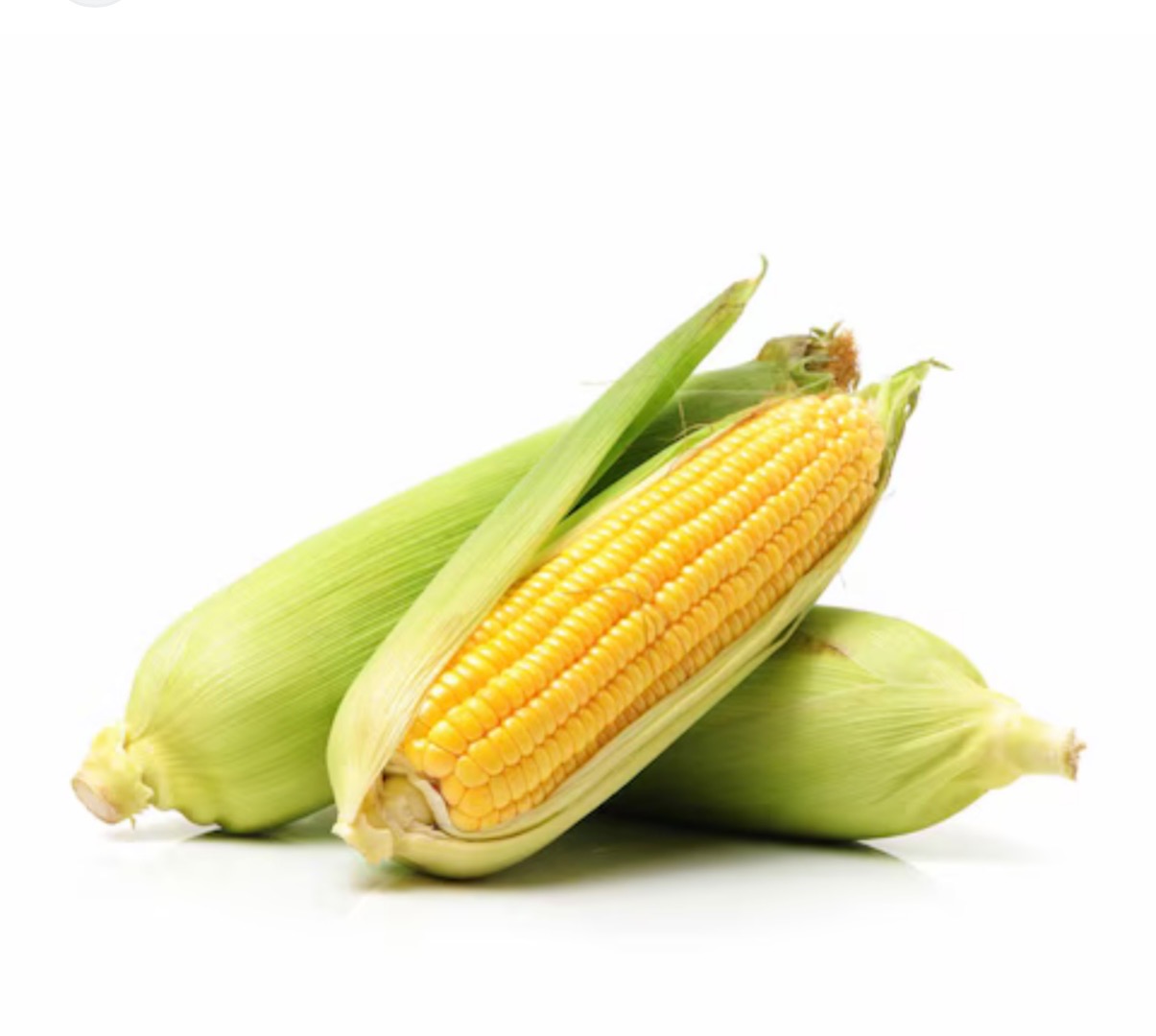 Hello We are selling fresh sweet corn