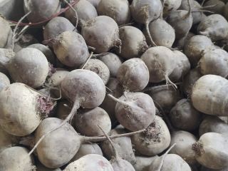 I'm selling beetroot, Monty variety, certified organic, in full-ton