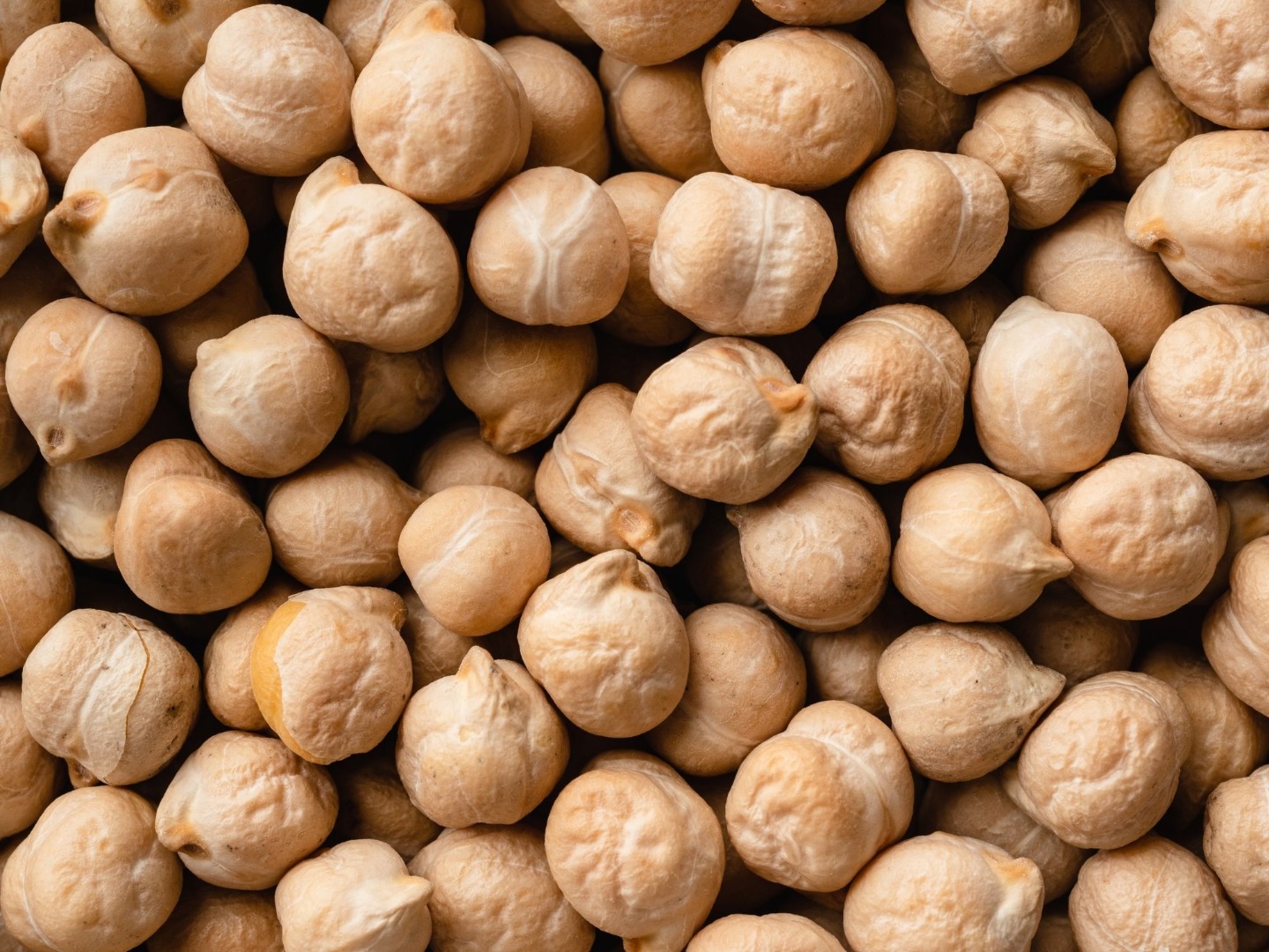 Our cooperative is a producer of chickpeas, wheat, sunflower and maize