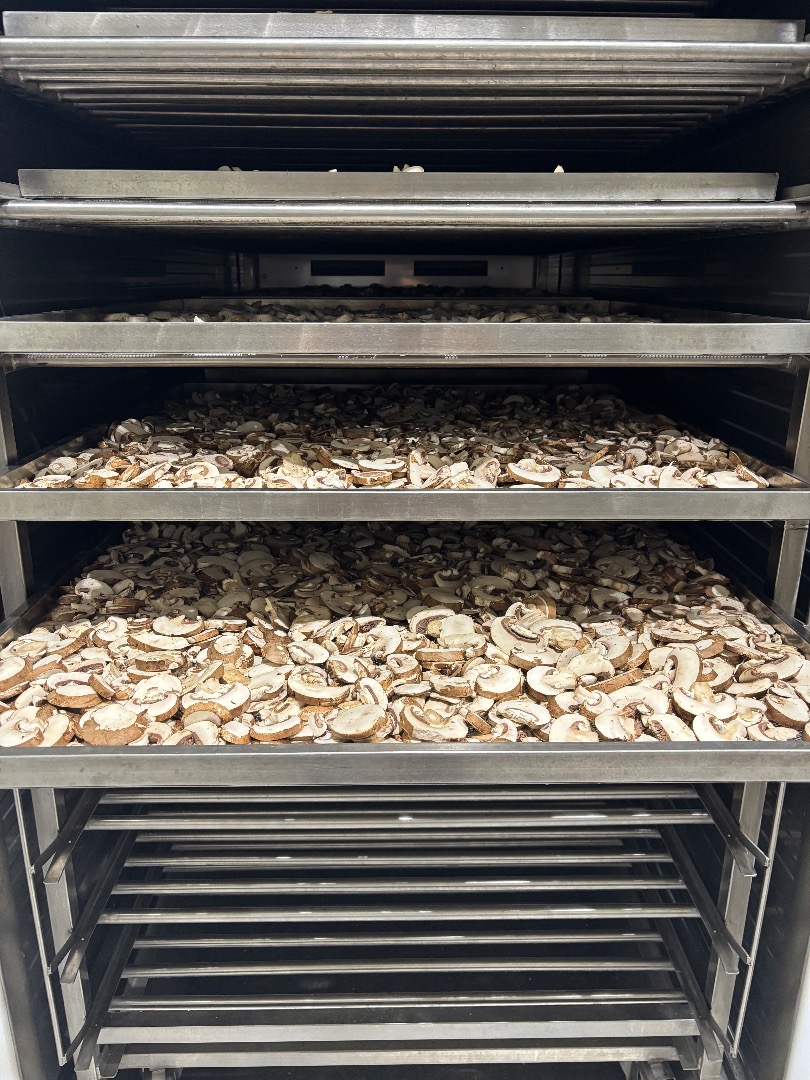 I have a unique product to offer – a mushroom that has undergone an innovative dehydration process
