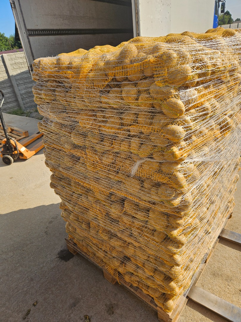 I am selling yellow and red potatoes in 5, 10, 15, 20, and 25kg bags, 50+ truckloads