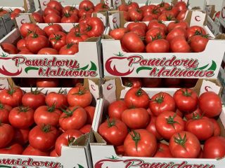 Hello! Raspberry Tomato 2B/3B/4B. Full truckload quantities. We focus